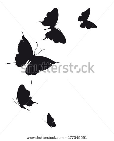Бабочки but0022